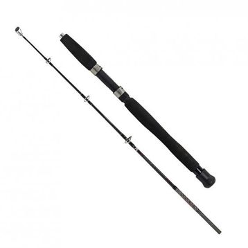 Albastar Boat 120 cm 100-200 gr Olta Kamışı
