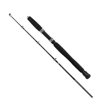 Albastar Boat 120 cm 100-200 gr Olta Kamışı