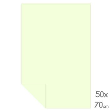 Alex Schoeller 50x70 160 gr Krem Fon Kartonu