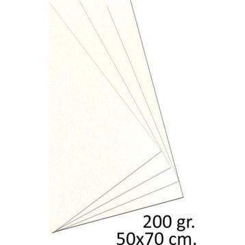 Alex Schoeller 50x70 cm 10 Adet Teknik Resim Kağıdı