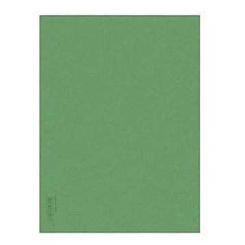 Alex Schoeller Nefti Yeşili 50x70 cm 160 gr 100'lü Fon Kartonu