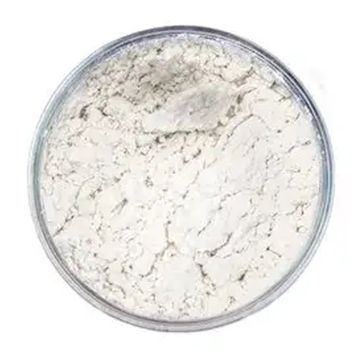 Alfasol 100 gr Sodyum Aljinat