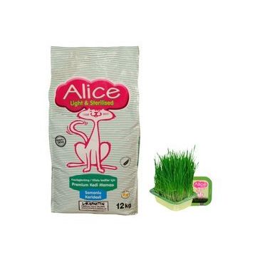 Alice Light & Sterilised 12 kg Kedi Maması