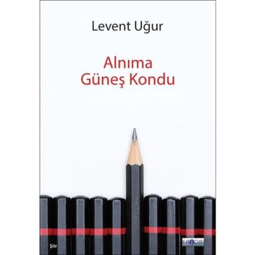 Alnıma Güneş Kondu - Levent Uğur