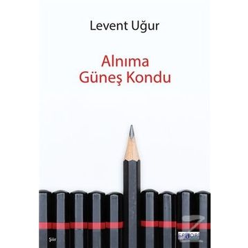 Alnıma Güneş Kondu - Levent Uğur