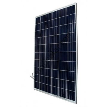 Alpex 170W Polikristal Güneş Paneli