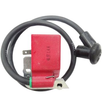 Alpina 48.97.1.4.H 700 Elektronik Bobin