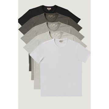 Altınyıldız Classics Slim Fit Dar Kesim Bisiklet Yaka 5'li Tişört Paketi