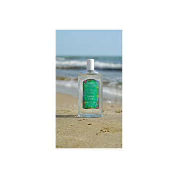 Alvarez Gomez Mediterranea Jardin de Te Verde EDT 150 ml Unisex Parfüm
