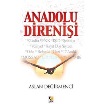 Anadolu Direnişi - Aslan Değirmenci