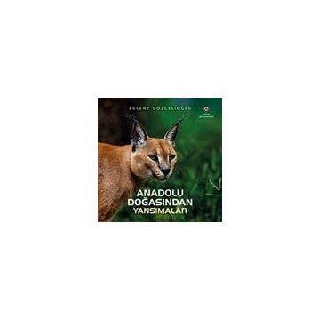 Anadolu Doğasından Yansımalar - Bülent Gözcelioğlu