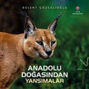 Anadolu Doğasından Yansımalar - Bülent Gözcelioğlu