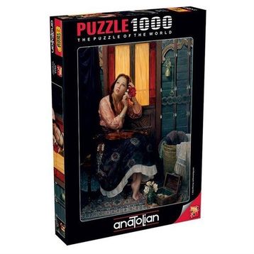 Anatolian 1072 1000 Parça Puzzle