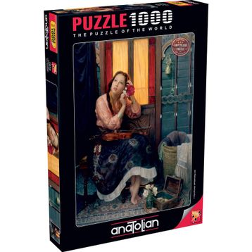 Anatolian 1072 1000 Parça Puzzle