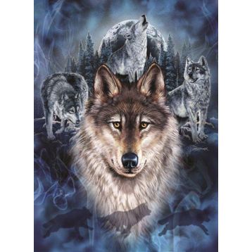 Anatolian 1079 Kurt Timi 1000 Parça Puzzle