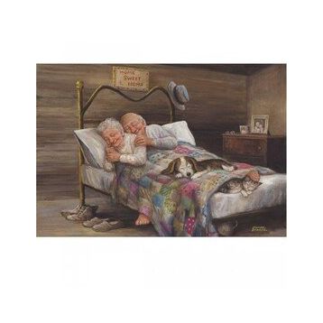 Anatolian 3541 Ev Gibisi Yok 500 Parça Puzzle