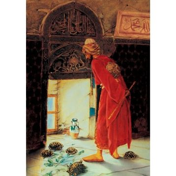 Anatolian Kaplumbağa Terbiyecisi Puzzle