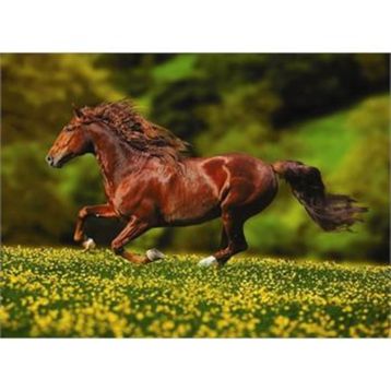 Anatolian Özgürlük 1000 Parça Puzzle