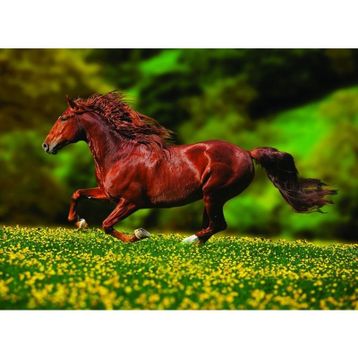 Anatolian Özgürlük 1000 Parça Puzzle