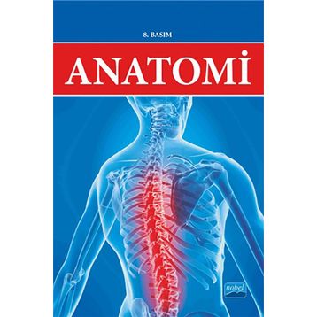 Anatomi - K. Mine Ergun Mürvet Hayran