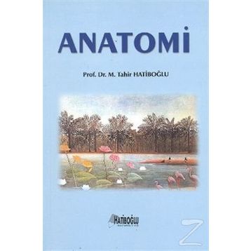Anatomi - K. Mine Ergun Mürvet Hayran