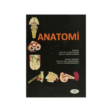 Anatomi - K. Mine Ergun Mürvet Hayran