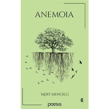 Anemoia - Mert Mengilli