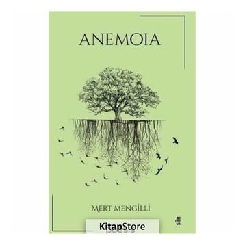 Anemoia - Mert Mengilli