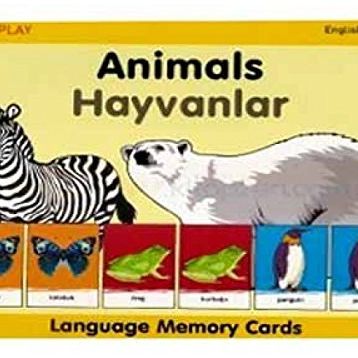 Animals - Hayvanlar Kutulu - kollektif
