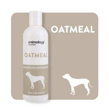 Animology 250 ml Essentials Oatmeal Yulaf Kokulu Koku Giderici ve Tüy Yumuşatıcı Köpek Şampuanı