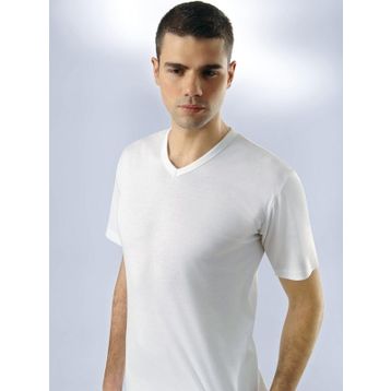 Anıt 1109 V Yaka Kollu Atlet
