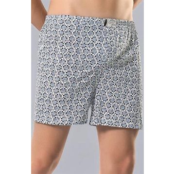 Anıt 1119 Penye Erkek Boxer