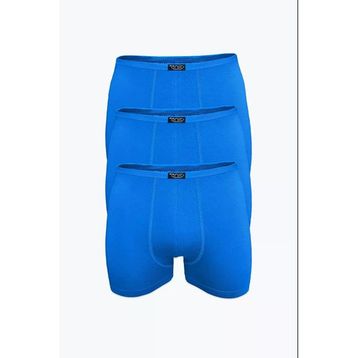 Anıt 1273 Bambu 3 Adet İndigo Erkek Boxer