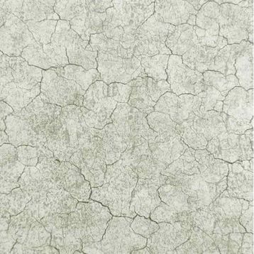 Ankawall Vision 2403-2 Duvar Kağıdı