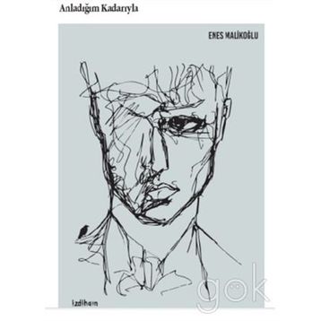 Anladığım Kadarıyla - Enes Malikoğlu