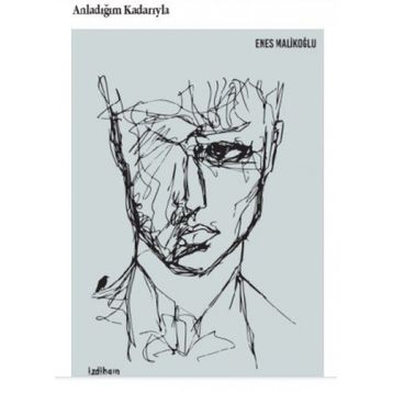 Anladığım Kadarıyla - Enes Malikoğlu