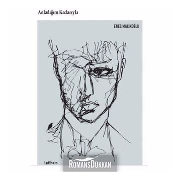Anladığım Kadarıyla - Enes Malikoğlu