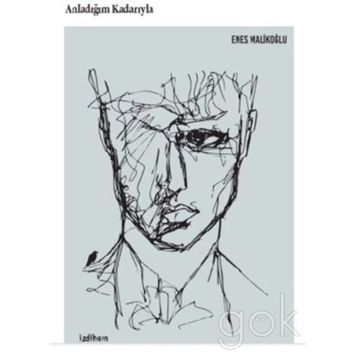 Anladığım Kadarıyla - Enes Malikoğlu