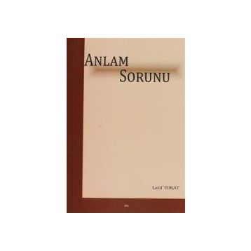 Anlam Sorunu - Latif Tokat