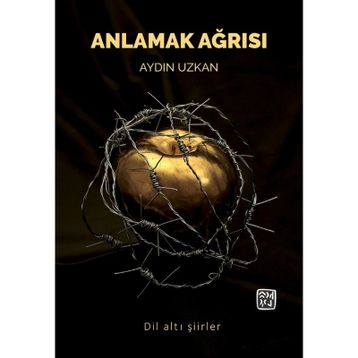 Anlamak Ağrısı - Aydın Uzkan