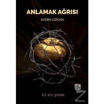 Anlamak Ağrısı - Aydın Uzkan