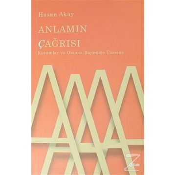 Anlamın Çağrısı - Hasan Akay