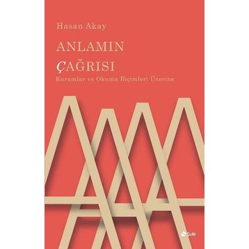 Anlamın Çağrısı - Hasan Akay