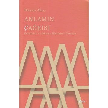 Anlamın Çağrısı - Hasan Akay