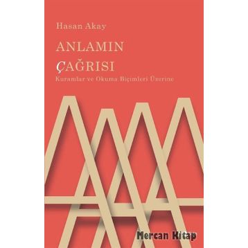 Anlamın Çağrısı - Hasan Akay
