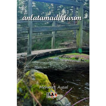 Anlatamadıklarım - Tuğba Erlik