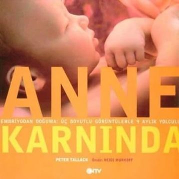 Anne Karnında - Peter Tallack