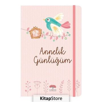 Annelik Günlüğüm - Evrim Gürel Süveydan