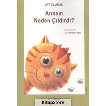 Annem Neden Çıldırdı? - Aytül Akal