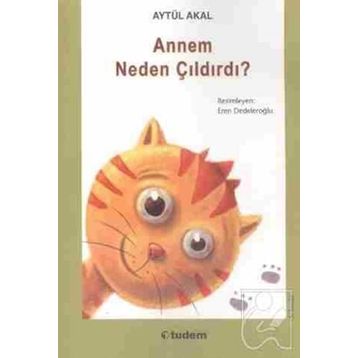 Annem Neden Çıldırdı? - Aytül Akal